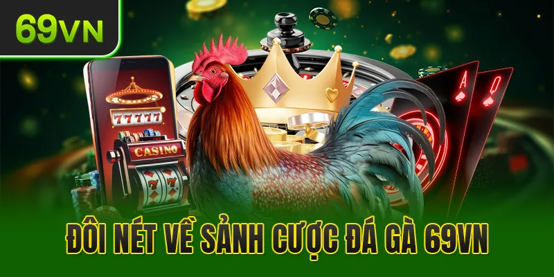 Khám phá thế giới sân đá gà chuyên nghiệp