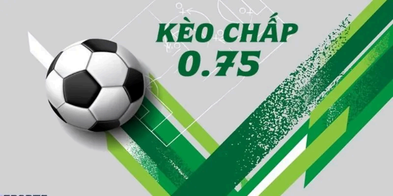 Tham gia cách tính tỷ lệ tiền khi chơi kèo chấp 0.75