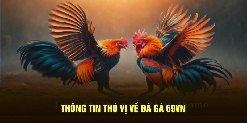 Mục FAQs đá gà 69VN được trình bày rõ ràng giúp người mới dễ hiểu